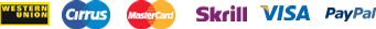 MasterCard, Visa, Verve, eTranzact, Interswitch